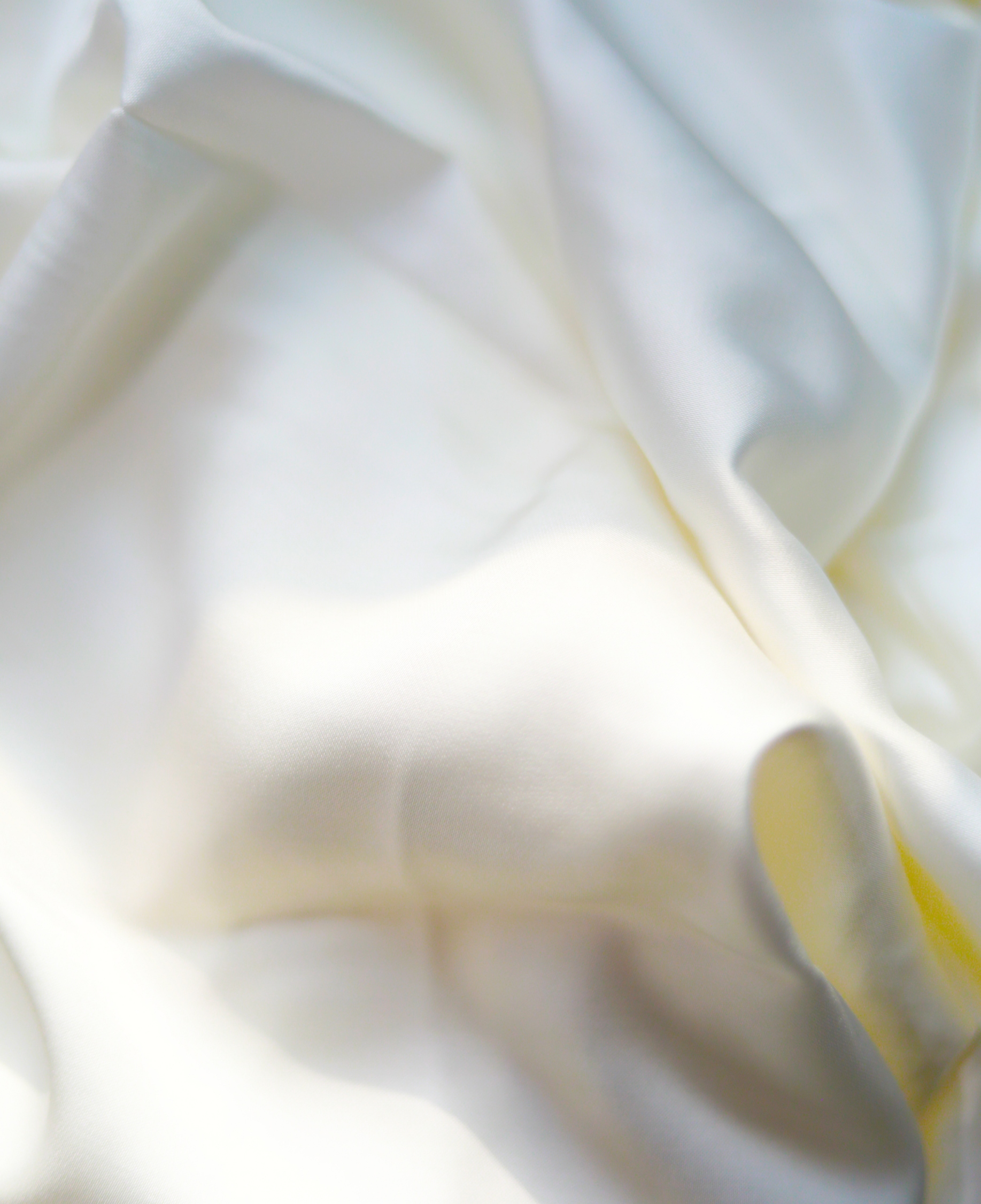 mg冰球突破(中国区)官方网站