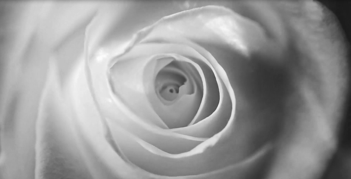 mg冰球突破(中国区)官方网站