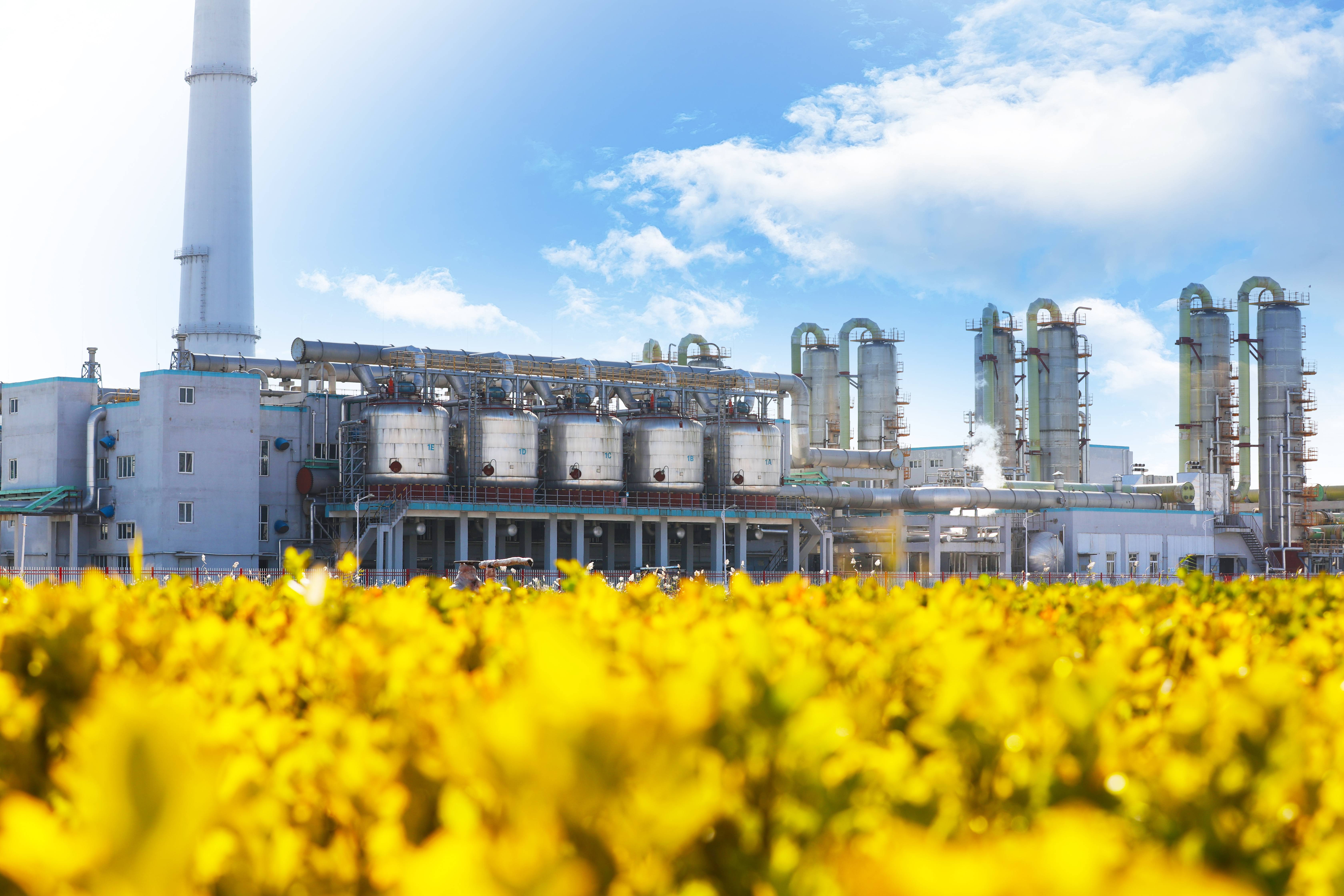 mg冰球突破(中国区)官方网站