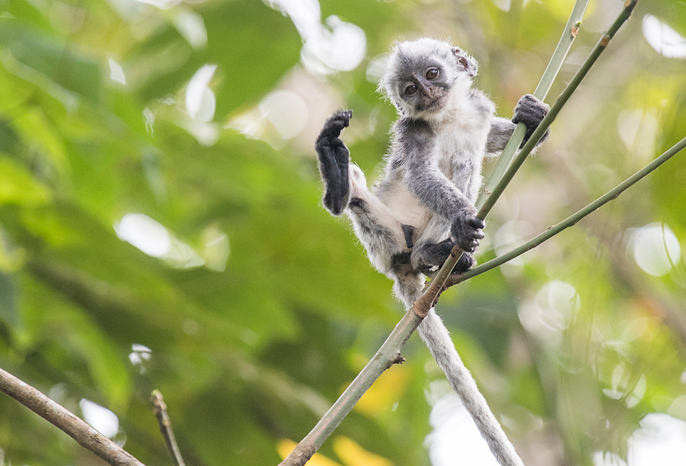 mg冰球突破(中国区)官方网站
